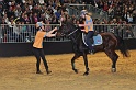 Pferd u Jagd   074